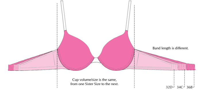 your bra fit well but the band is too big or too small, getting your best f...